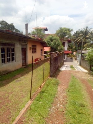 House for Sale in Pannipitiya - House for sale in Pannipitiya