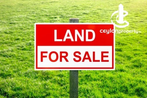 Land for Sale in Meegoda - Land For Sale in Meegoda