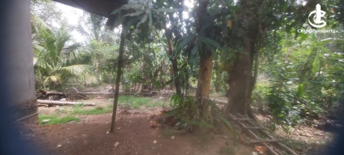 Land for Sale in Kesbewa - Land For Sale In Kesbewa