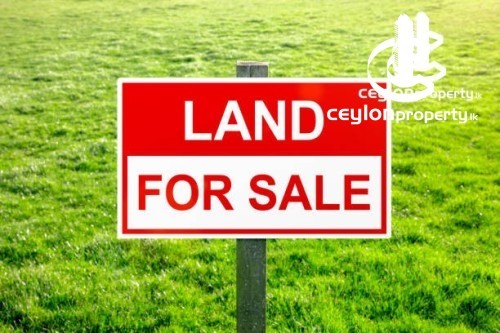 Land for Sale in Pita Kotte - Land for sale in pita kotte