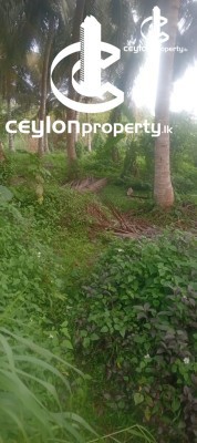 Land for Sale in Ja-Ela - Land for sale in Ja-Ela