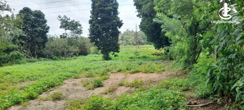 Land for Sale in Kaduwela - Land for sale in Kaduwela