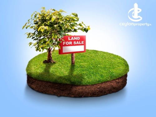 Land for Sale in Thalawathugoda - Land for sale in Thalawathugoda
