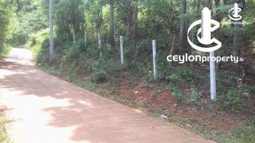 Land for Sale in Matale - Land For Sale in Matale
