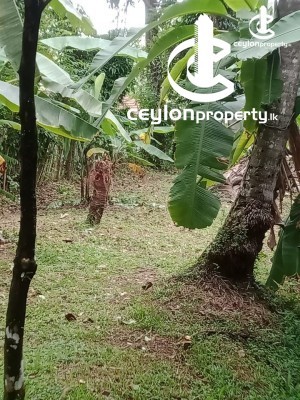 Land for Sale in Kadawatha - Land for sale in Kadawtha