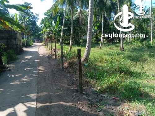 Land for Sale in Weliveriya - Land for sale in Weliveriya