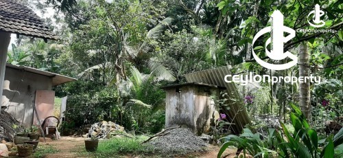 Land for Sale in Dompe - Land for sale in Dompe