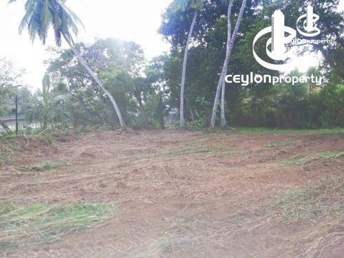 Land for Sale in Tangalla - Land for sale in Tangalla