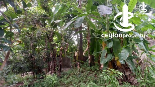 Land for Sale in Anangoda - Land for sale in Anangoda
