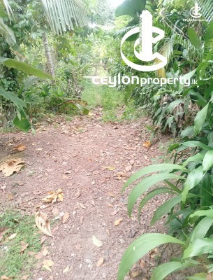 Land for Sale in Kadawatha - Land for sale in Kadawatha