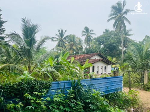 Land for Sale in Anuradhapura - House With Land For Sale in Anuradhapura
