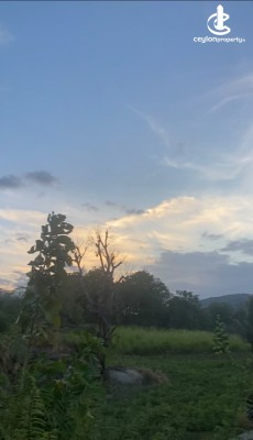 Land for Sale in Monaragala - land For Sale in Monaragala