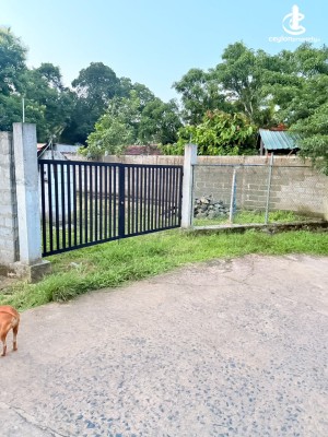 Land for Sale in Narammala - Land For Sale in Narammala