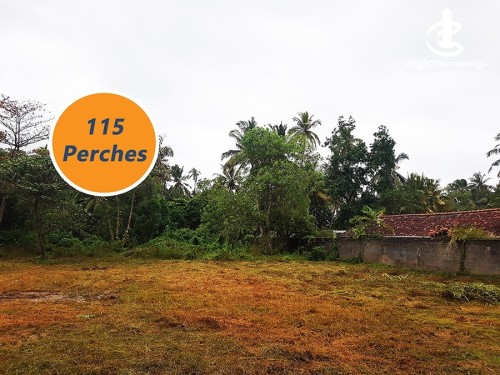Land for Sale in Benthota - Tourist Zone 115 Perches Valuable Land For Sale In Bentota Induruwa