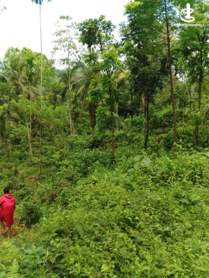 Land for Sale in Avissawella - 2 Acres Land For Sale In Avissawella