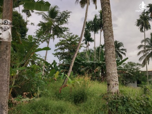 Land for Sale in Kahathuduwa - 9.54 Perches Land For Sale In Kahathuduwa