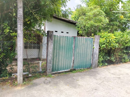 Land for Sale in Wattala - Land for Sale in Wattala