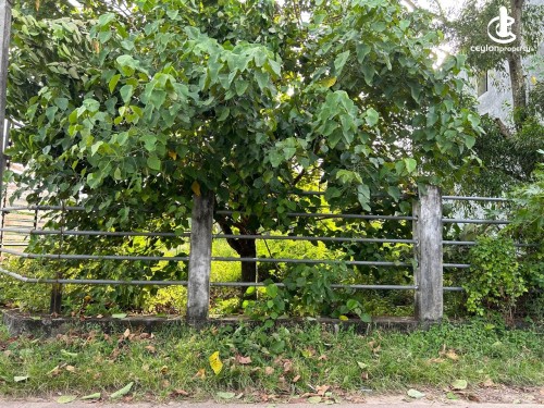 Land for Sale in Battaramulla - Valuable Land For sale in Battaramulla