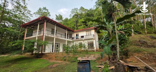 Land for Sale in Kosgama - urgent - Land for Sale in Kosgama