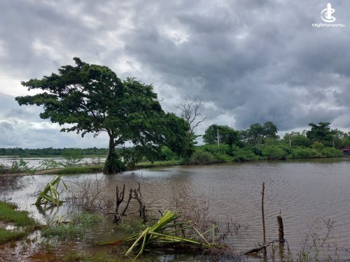 Other for Sale in Tangalla - Land with Tourist Cottages for Sale – Tangalle