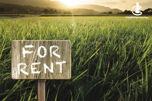 Land for Rent in Yakkala - Commercial Land For Rent in Yakkala