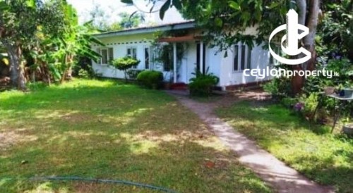 Land for Sale in Panadura - LAND FOR SALE – PANADURA