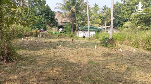 Land for Sale in Wariyapola - Land for Sale – Wariyapola