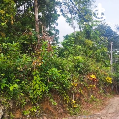 Land for Sale in Nittambuwa - Land For Sale Nittambuwa