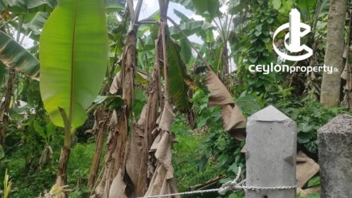 Land for Sale in Nittambuwa - Land for Sale – Nittambuwa