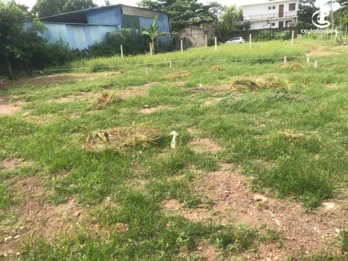 Land for Sale in Boralesgamuwa - Valuable Land for Sale – Bellanthota Junction