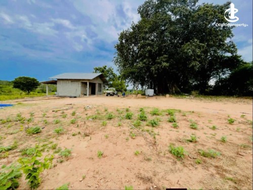 Land for Sale in Thanamalwila - Valuable 3-acre land facing a lake for sale - Thanamalwila