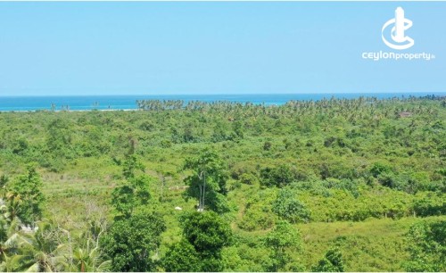 Land for Sale in Hikkaduwa - Land for Sale – Hikkaduwa (Akurala)