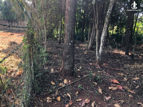 Land for Sale in Matale - Prime Land for Sale in Matale – Aluvihare Area