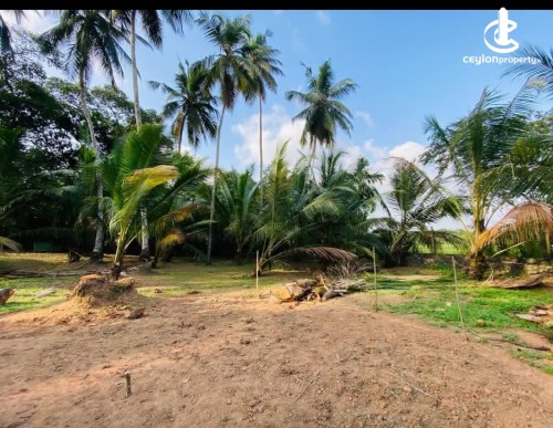 Land for Sale in Malabe - Land for Sale in Malabe – Welivita Area