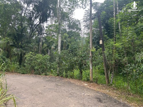 Land for Sale in Kalawana - Land for Sale in Kalawana