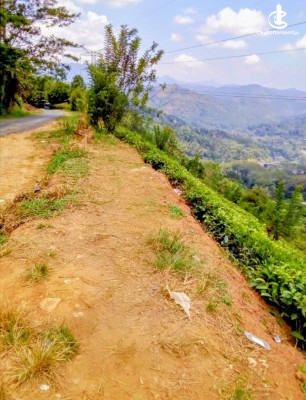 Land for Sale in Nuwara Eliya - Urgent Sale – Valuable Property in Hadunuwewa, Kotmale, Nuwara Eliya District