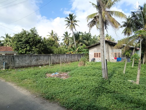 Land for Sale in Ja-Ela - Valuable Residential Land for Sale – Wewala, Ja-Ela