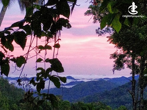 Land for Sale in Kuruwita - Scenic Estate for Immediate Sale – Erathna, Kuruwita