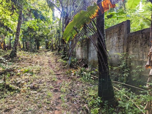 Land for Sale in Nittambuwa - Valuable Land for Sale in Haggalla, Attanagalla – Nittambuwa