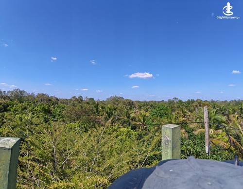 Land for Sale in Anamaduwa - 23-Acres Developed Coconut Estate For Sale – Anamaduwa
