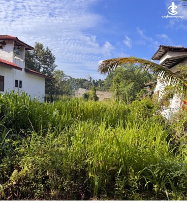 Land for Sale in Minuwangoda - Land for Sale – Nilpanagoda, Minuwangoda