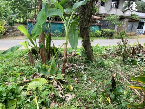 Land for Sale in Agalawatta - Land for Sale – Near Agalawatta Town