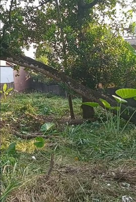 Land for Sale in Pannipitiya - Valuable Land for Sale – Pannipitiya