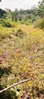 Land for Sale in Bandaragama - Residential Land for Sale in Uswatta, Gonaduwa