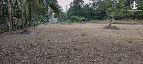 Land for Sale in Katunayake - Prime Residential Land for Sale – Dewalapola
