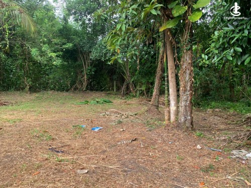Land for Sale in Panadura - Land for Sale in Panadura