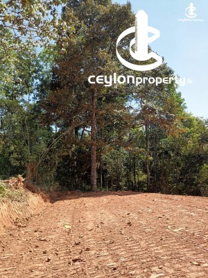 Land for Sale in Pilimatalawa - Valuable Land For sale in Pilimatalawa