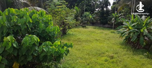 Land for Sale in Polgahawela - 50 Perches Residential Land for Sale – Polgahawela