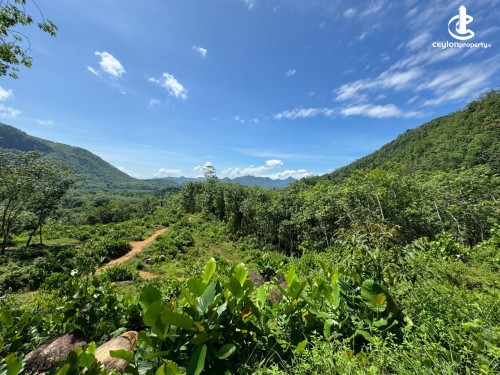 Land for Sale in Ratnapura - 8.5 ACRES OF LAND FOR SALE – KIRIELLA
