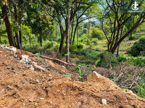 Land for Sale in Kandy - PREMIUM LAND FOR SALE IN DIGANA, KANDY – 6¼ ACRES